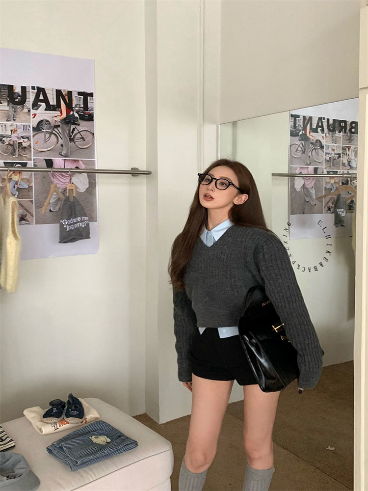 Basic Grey Cropped Sweater Wom - огляд і ціна Vintage Fashion Style Female